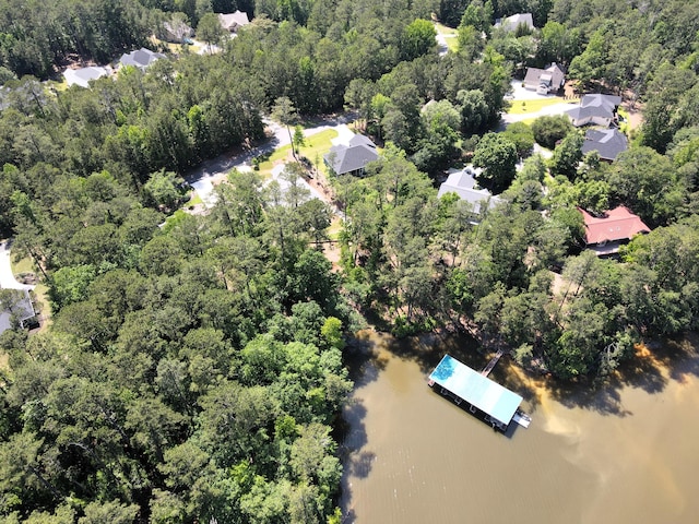 901 Patriots Pt, Mccormick, SC 29835 - aerial overview of property's location with a forest