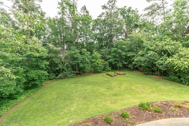 3247 Ramsgate Rd, Augusta, GA 30909 - view of grassy yard