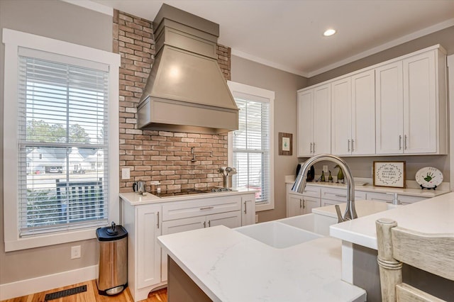 kitchen featuring sink, plenty of natural light, premium range hood, and light hardwood / wood-style flooring