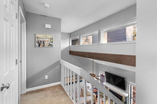 corridor featuring a wealth of natural light and light colored carpet