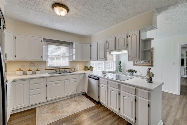 kitchen featuring dishwasher, open shelves, dark wood-style floors, and a sink