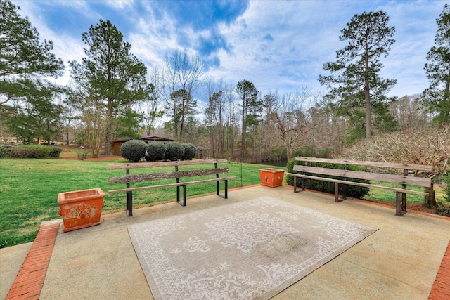 exterior space with a yard and a patio area