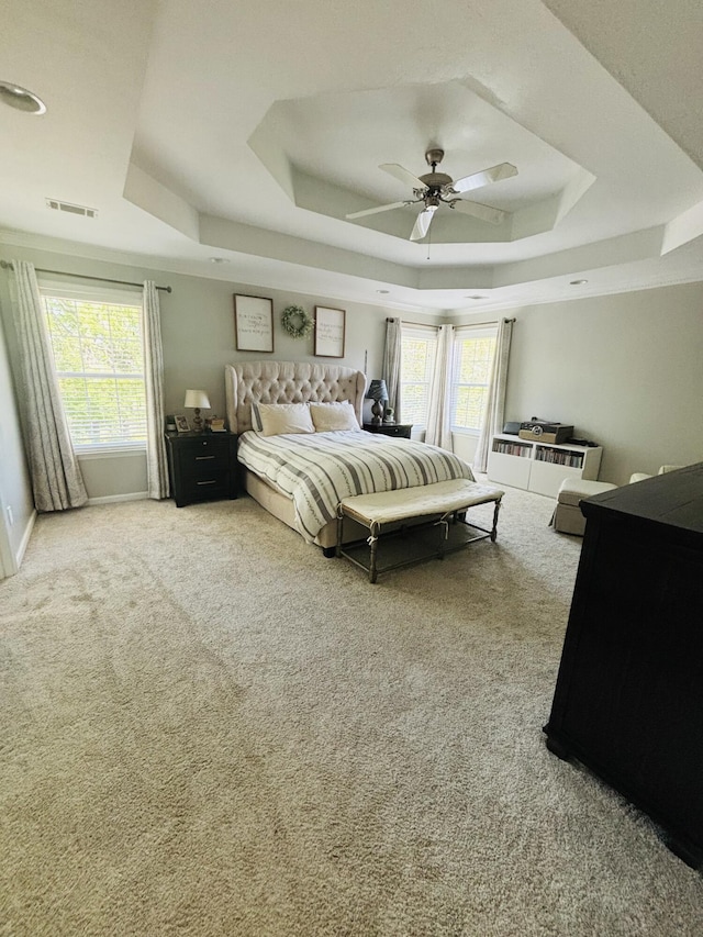 517 Avrett Ct, Evans, GA 30809 - bedroom with a raised ceiling, multiple windows, and carpet flooring