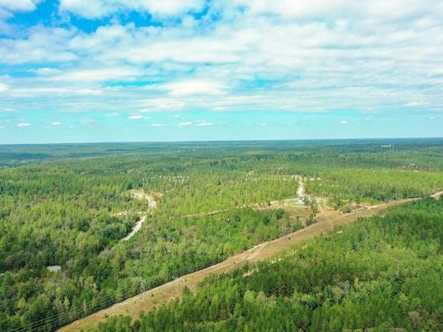 birds eye view of property with a forest view