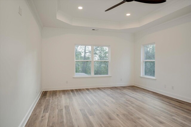 spare room featuring light wood-type flooring, a raised ceiling, plenty of natural light, and ceiling fan