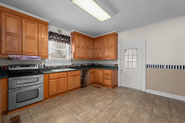 kitchen featuring ventilation hood, stainless steel electric range, ornamental molding, and sink