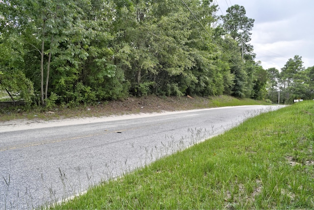 2925 Ulm Rd, Hephzibah, GA 30815 - photo 27