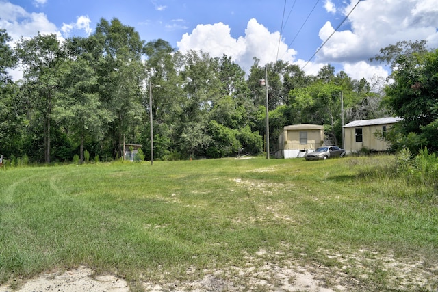 2925 Ulm Rd, Hephzibah, GA 30815 - photo 24