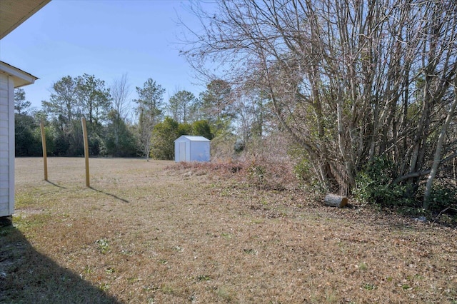 view of yard with a shed