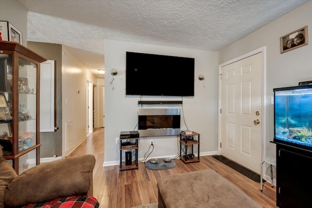 living room with a textured ceiling and hardwood / wood-style floors