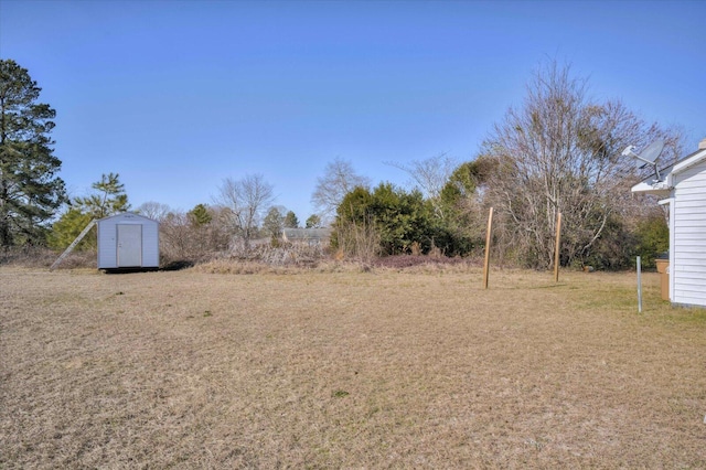 view of yard featuring a storage unit