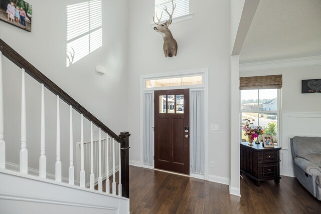 entrance foyer featuring ornamental molding and dark wood-type flooring