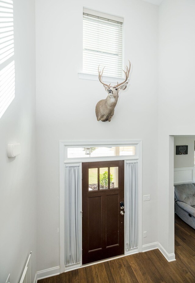 foyer entrance featuring dark wood-type flooring