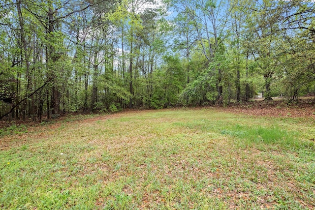 view of yard featuring a forest view