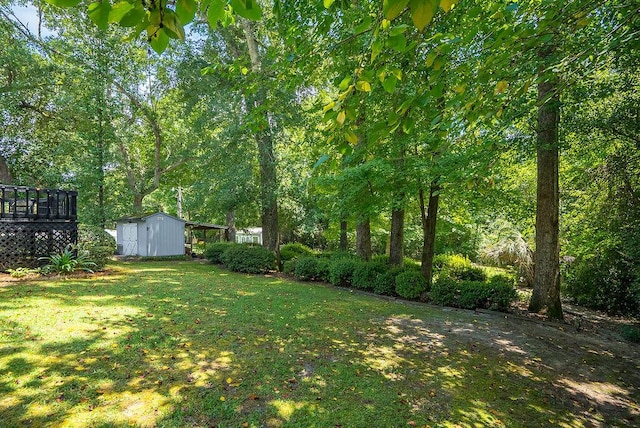 134 Robin Rd, Barnwell, SC 29812 - view of green lawn with a storage shed and a deck