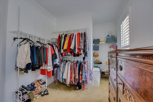 3501 Lonesome Pine Ct, Martinez, GA 30907 - walk in closet featuring carpet flooring