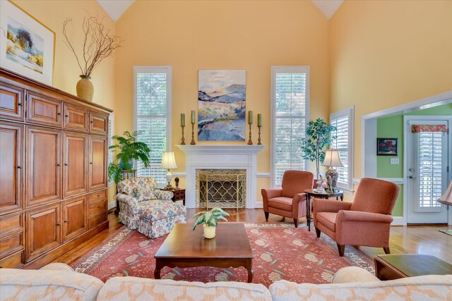 3501 Lonesome Pine Ct, Martinez, GA 30907 - living area with high vaulted ceiling, light wood-type flooring, and a high end fireplace