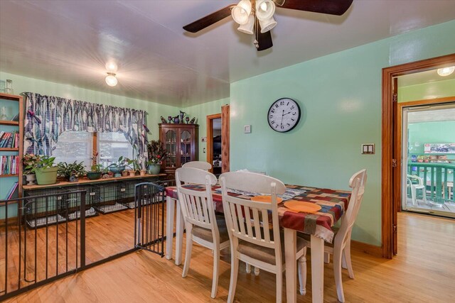 dining room with ceiling fan and light hardwood / wood-style floors