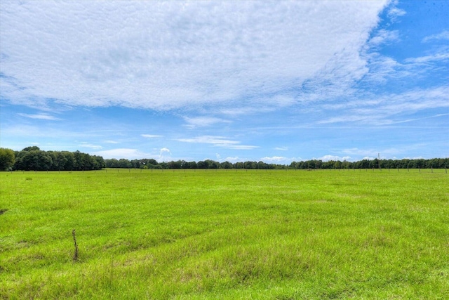 view of nature with a rural view