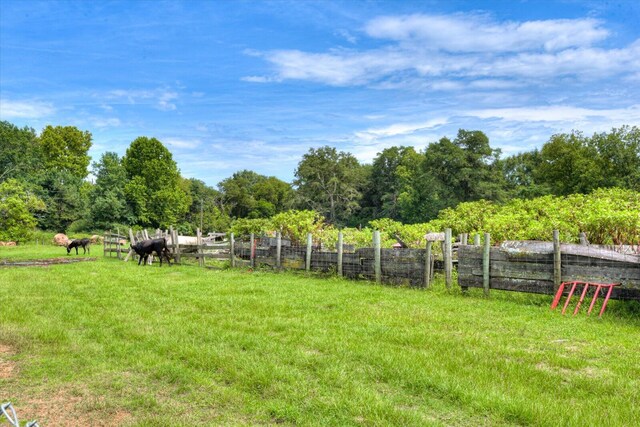 view of yard featuring a rural view