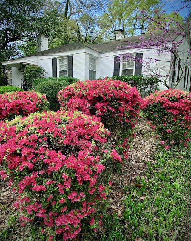 view of side of property