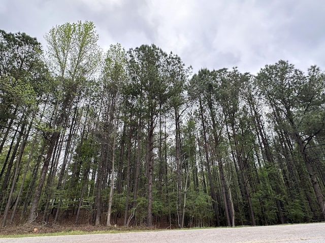 1-E Ridge Rd, Appling GA, 30802 land for sale