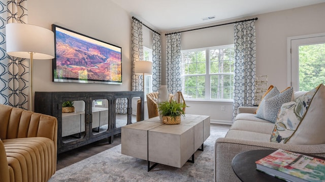 living room with hardwood / wood-style flooring and plenty of natural light