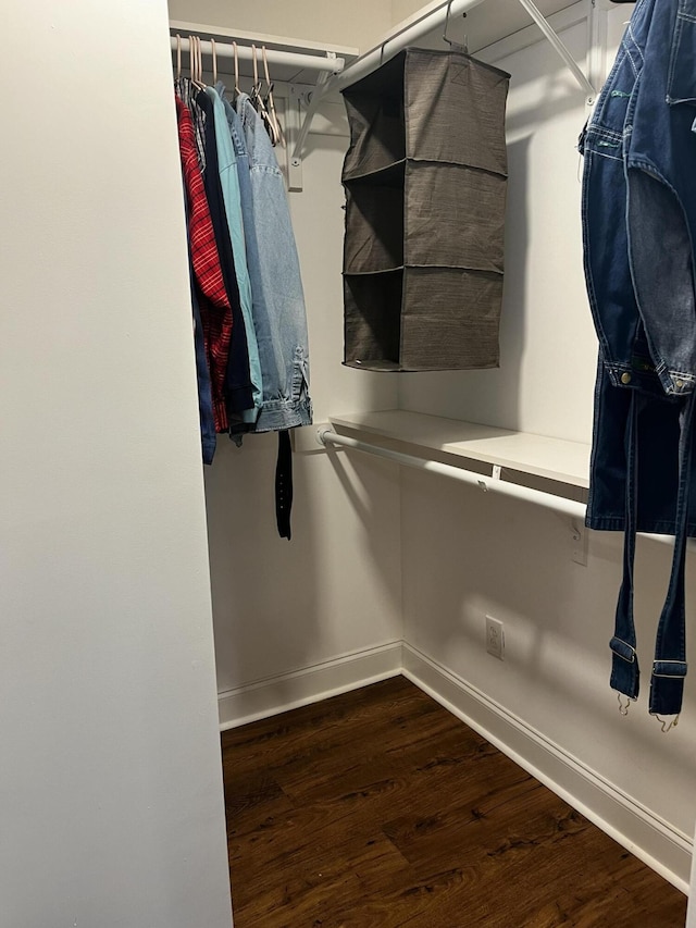 spacious closet featuring dark wood-type flooring