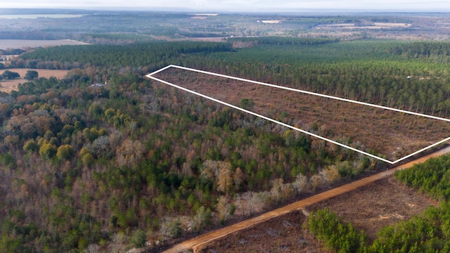 0 Poinsettia Rd, Wagener, SC 29164 - photo 8
