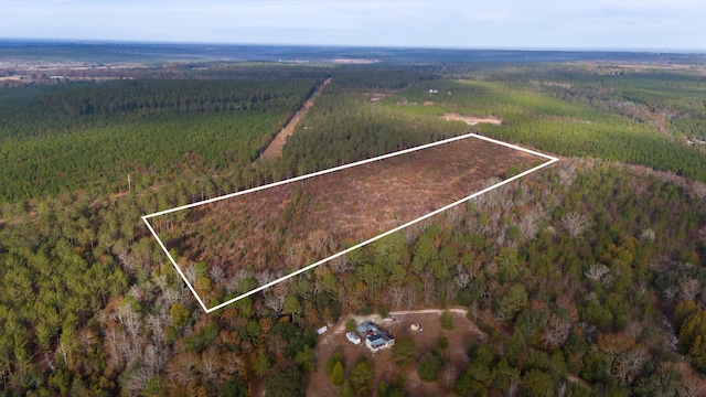 0 Poinsettia Rd, Wagener, SC 29164 - photo 6