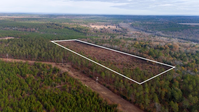 0 Poinsettia Rd, Wagener, SC 29164 - photo 4