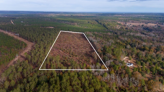 0 Poinsettia Rd, Wagener, SC 29164 - photo 5