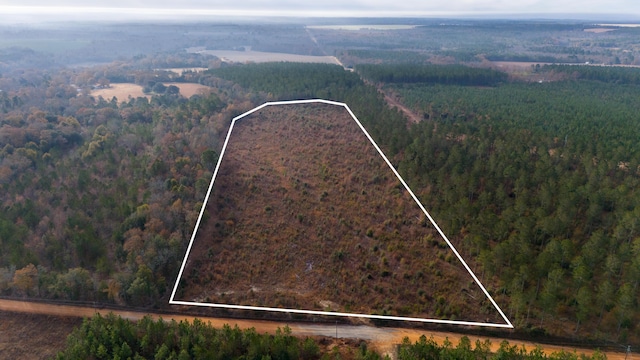 0 Poinsettia Rd, Wagener, SC 29164 - photo 1