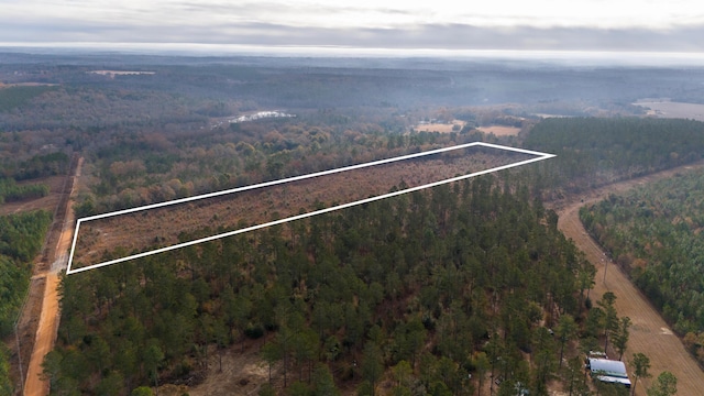 0 Poinsettia Rd, Wagener, SC 29164 - photo 2