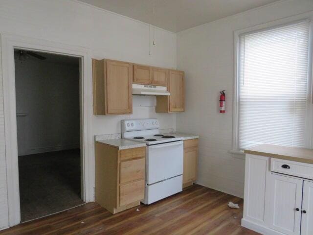 kitchen featuring dark hardwood / wood-style floors and white electric range oven