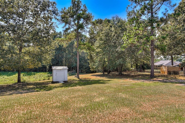 view of yard featuring a storage unit