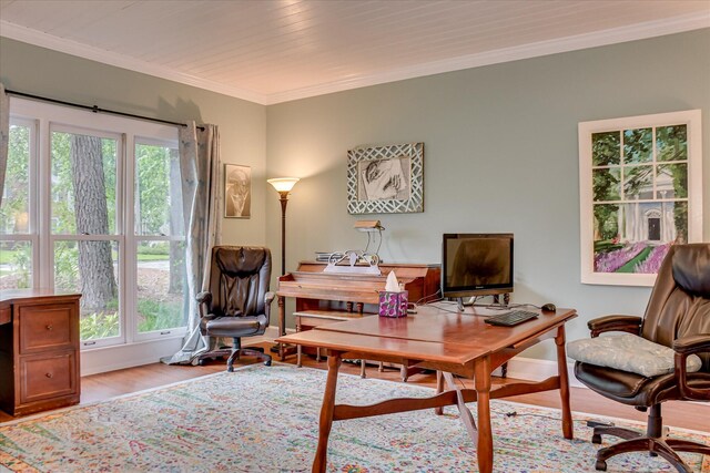 710 Somerset Way, Augusta, GA 30909 - office area featuring light wood-style floors and ornamental molding