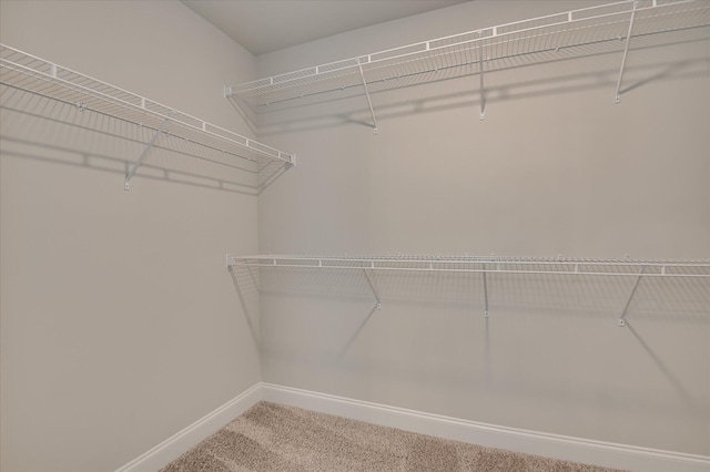 5265 Greyton Cir, North Augusta, SC 29860 - walk in closet featuring carpet floors