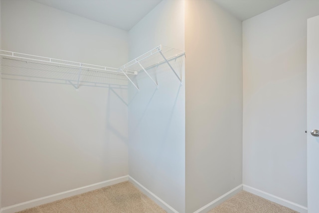 248 Expedition Dr, North Augusta, SC 29841 - photo 23