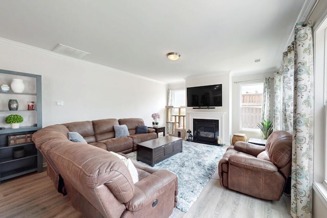 6134 High Top Ln, Aiken, SC 29801 - living area featuring ornamental molding, wood finished floors, plenty of natural light, a glass covered fireplace, and built in features