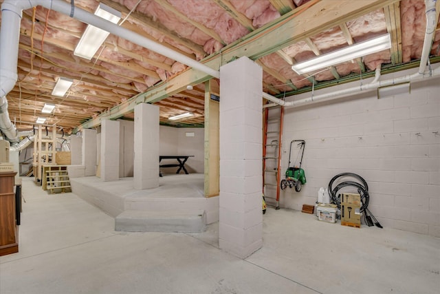 209 Apple Ln, Mccormick, SC 29835 - view of unfinished below grade area