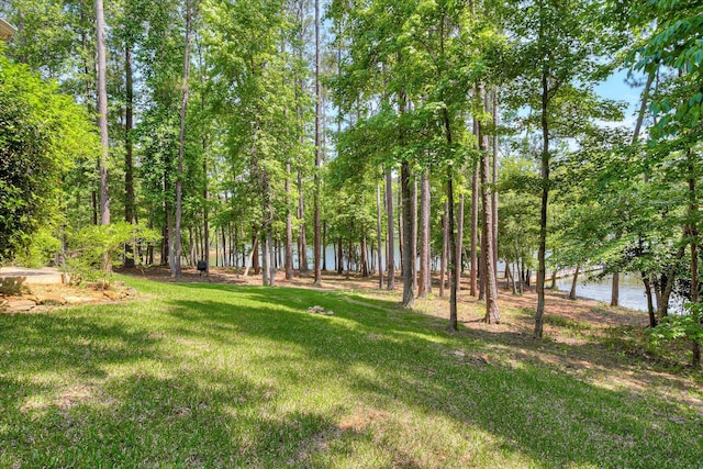 209 Apple Ln, Mccormick, SC 29835 - view of green lawn with a water view