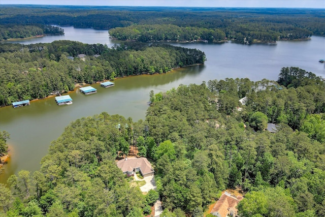 209 Apple Ln, Mccormick, SC 29835 - aerial overview of property's location with a forest and a large body of water