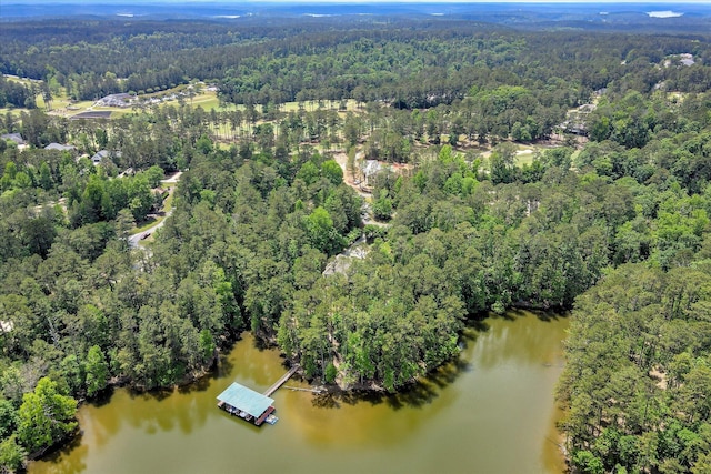 209 Apple Ln, Mccormick, SC 29835 - view of property location featuring a heavily wooded area and a nearby body of water