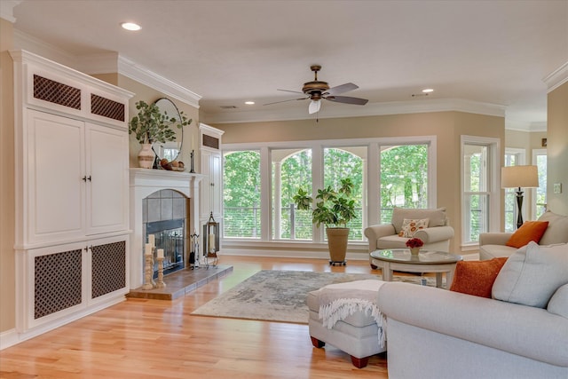209 Apple Ln, Mccormick, SC 29835 - living room featuring plenty of natural light, light wood-type flooring, a ceiling fan, crown molding, and a fireplace