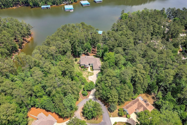 209 Apple Ln, Mccormick, SC 29835 - drone / aerial view of a large body of water and a heavily wooded area