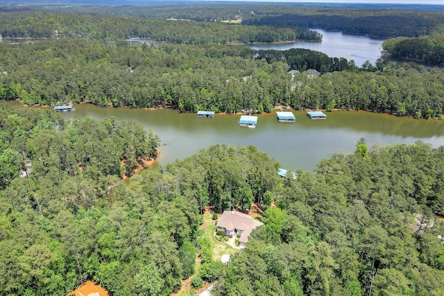 209 Apple Ln, Mccormick, SC 29835 - aerial view of property's location featuring a heavily wooded area and a large body of water