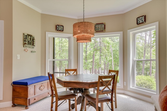 209 Apple Ln, Mccormick, SC 29835 - dining room featuring light colored carpet, plenty of natural light, crown molding, and a chandelier