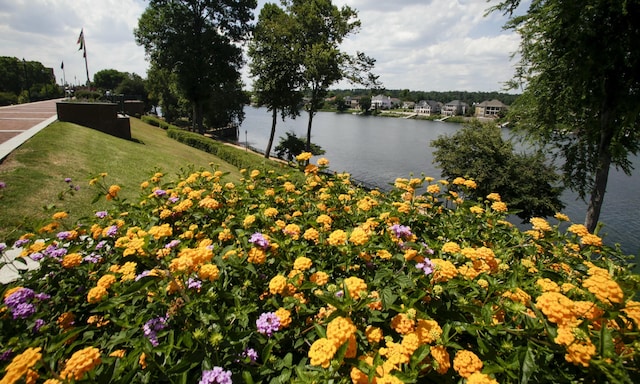 view of water feature