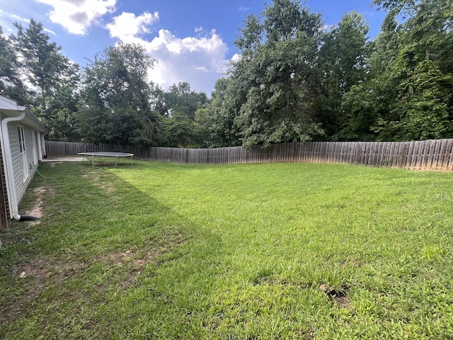 2030 Lake Forest Dr, Grovetown, GA 30813 - fenced backyard with a trampoline